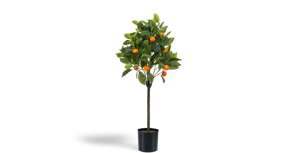 Planter des arbres